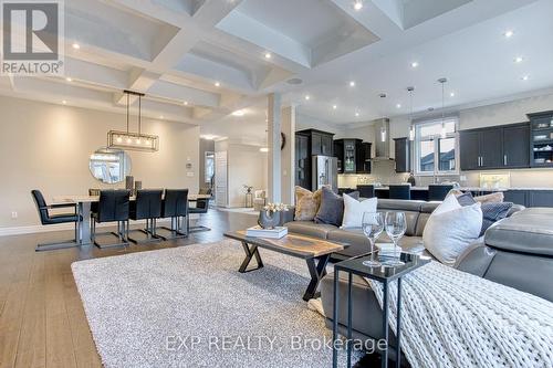 44 Riesling Court, Hamilton, ON - Indoor Photo Showing Living Room