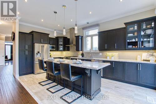 44 Riesling Court, Hamilton, ON - Indoor Photo Showing Kitchen With Upgraded Kitchen