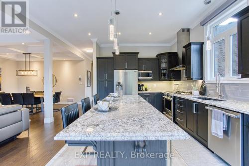 44 Riesling Court, Hamilton, ON - Indoor Photo Showing Kitchen With Upgraded Kitchen