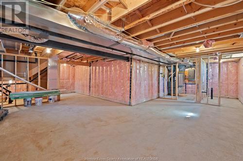 116 Bear Street, Essex, ON - Indoor Photo Showing Basement