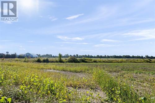 116 Bear Street, Essex, ON - Outdoor With View