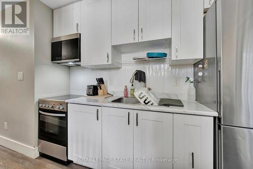 49 Dumfries Street, Brant, ON - Indoor Photo Showing Kitchen