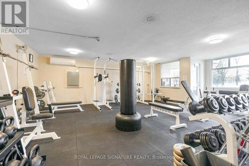 319 - 551 The West Mall, Toronto, ON - Indoor Photo Showing Gym Room