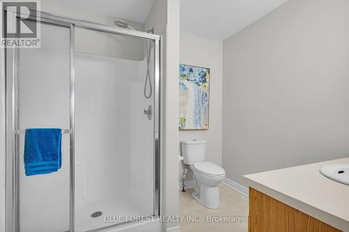 309 South Leaksdale Circle, London, ON - Indoor Photo Showing Bathroom