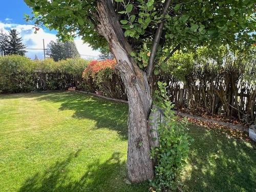 772 304Th Street, Kimberley, BC - Outdoor