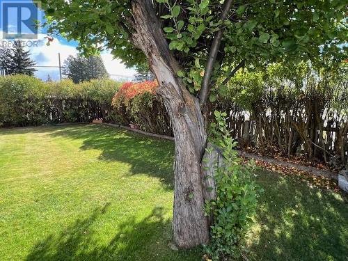 772 304Th Street, Kimberley, BC - Outdoor