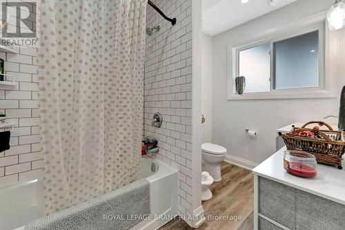 157 Terrace Hill Street, Brantford, ON - Indoor Photo Showing Bathroom