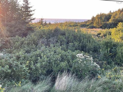 Cabot Trail, Point Cross, NS 