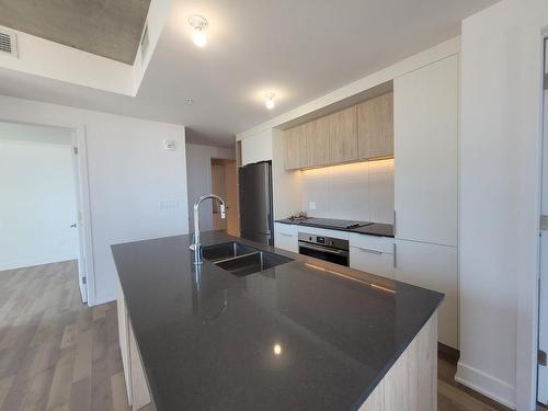 Cuisinette - 1629-505 Rue De L'Escale, Brossard, QC - Indoor Photo Showing Kitchen With Double Sink With Upgraded Kitchen