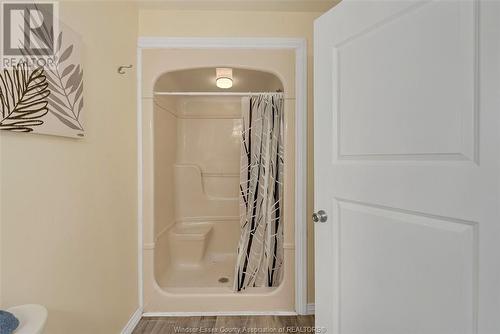 1032 Lauzon Road, Windsor, ON - Indoor Photo Showing Bathroom