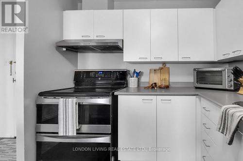 1205 - 30 Chapman Court, London, ON - Indoor Photo Showing Kitchen