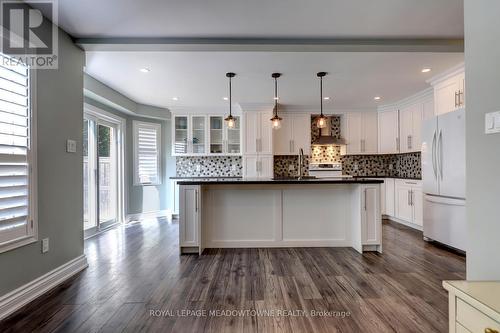 171 Eaton Street, Halton Hills, ON - Indoor Photo Showing Kitchen With Upgraded Kitchen