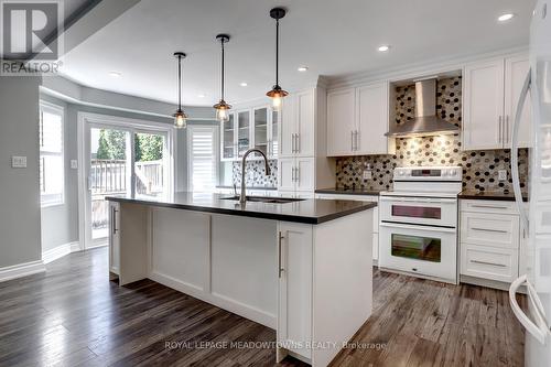 171 Eaton Street, Halton Hills, ON - Indoor Photo Showing Kitchen With Upgraded Kitchen