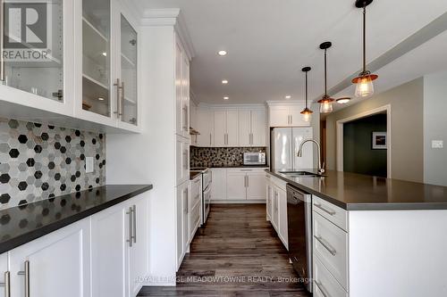 171 Eaton Street, Halton Hills, ON - Indoor Photo Showing Kitchen With Upgraded Kitchen