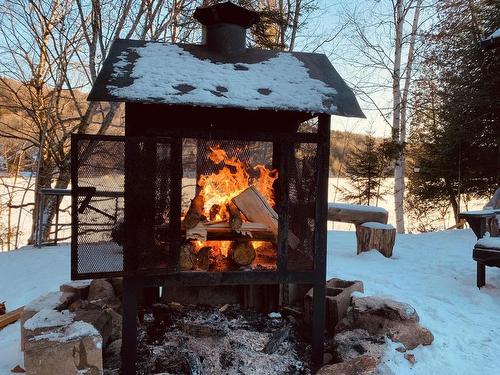 ExtÃ©rieur - 4295 Ch. Des Sorbiers, Amherst, QC - Outdoor