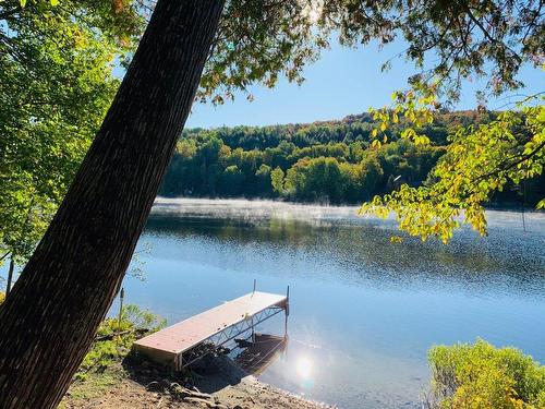 Bord de l'eau - 4295 Ch. Des Sorbiers, Amherst, QC - Outdoor With Body Of Water With View