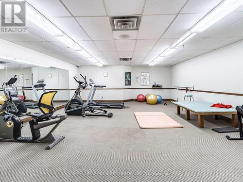 1002 - 320 Mill Street S, Brampton, ON - Indoor Photo Showing Gym Room