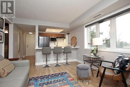 110 - 111 Bristol Road E, Mississauga, ON - Indoor Photo Showing Living Room