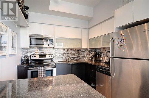 103 - 55 East Liberty Street, Toronto, ON - Indoor Photo Showing Kitchen With Stainless Steel Kitchen With Upgraded Kitchen