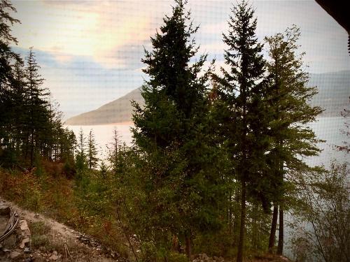 Lot 6 Lower Arrow Lake, Castlegar, BC 