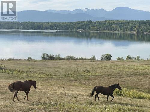 4421 Tyhee Lake Road, Telkwa, BC 