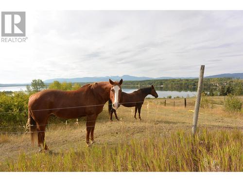 4421 Tyhee Lake Road, Telkwa, BC 