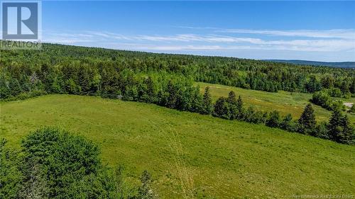 4158 Route 114, Hopewell Cape, NB - Outdoor With View