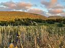 Cabot Trail, Point Cross, NS 