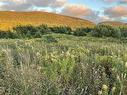 Cabot Trail, Point Cross, NS 