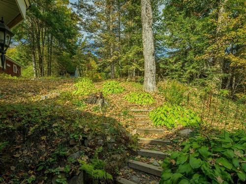 ExtÃ©rieur - 329 Ch. Sunny Side, Wentworth-Nord, QC - Outdoor