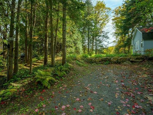 ExtÃ©rieur - 329 Ch. Sunny Side, Wentworth-Nord, QC - Outdoor