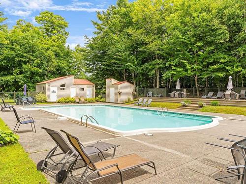 Piscine - 5012 Ch. Du Parc, Orford, QC - Outdoor With In Ground Pool With Backyard