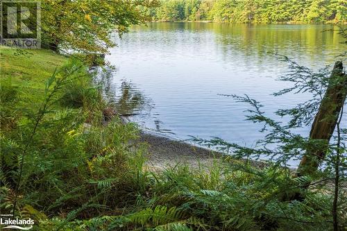 87 & 99 Dayeo Drive, Mactier, ON - Outdoor With Body Of Water With View