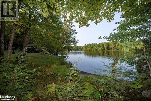 87 & 99 Dayeo Drive, Mactier, ON - Outdoor With Body Of Water With View