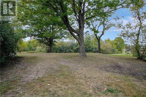 234 Heiman Street Unit# 302, Kitchener, ON - Outdoor With View