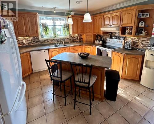 319-321 Main Street, New-Wes-Valley, NL - Indoor Photo Showing Kitchen With Double Sink