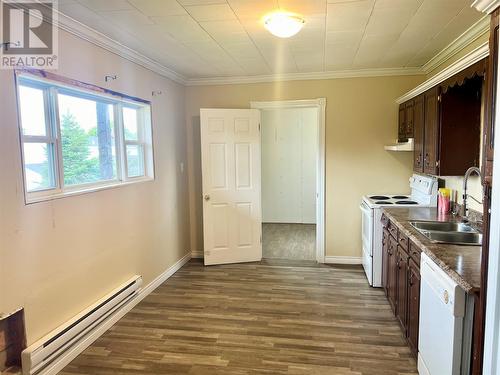 22 Carrolls Road, Spaniard'S Bay, NL - Indoor Photo Showing Kitchen With Double Sink