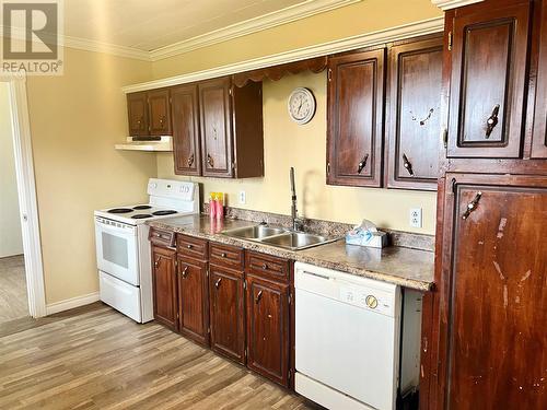 22 Carrolls Road, Spaniard'S Bay, NL - Indoor Photo Showing Kitchen With Double Sink