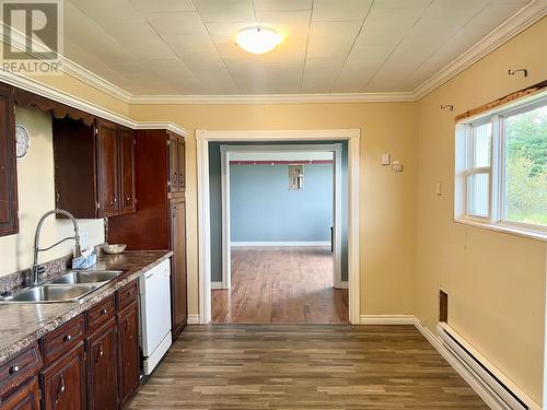 22 Carrolls Road, Spaniard'S Bay, NL - Indoor Photo Showing Kitchen With Double Sink