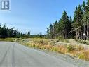 Lot B Albert Place, Torbay, NL 