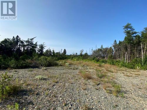 Lot B Albert Place, Torbay, NL 