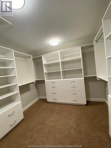 1081 Woodland Crescent, Lakeshore, ON - Indoor With Storage