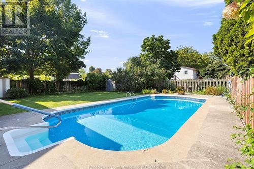 168 Coghill, Kingsville, ON - Outdoor With In Ground Pool With Backyard