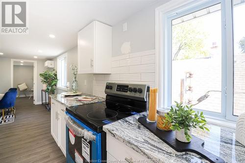 459 Ellis Street Unit# Upper, Windsor, ON - Indoor Photo Showing Kitchen With Upgraded Kitchen