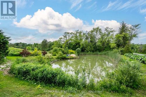 13330 Marsh Hill Road, Scugog (Port Perry), ON - Outdoor With View