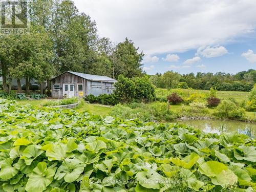 13330 Marsh Hill Road, Scugog (Port Perry), ON - Outdoor With View