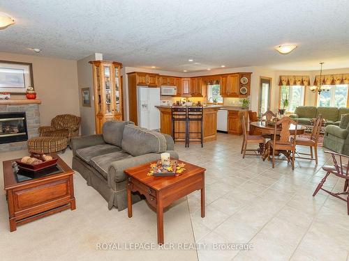 101 Conservation Tr, Centre Wellington, ON - Indoor Photo Showing Living Room With Fireplace