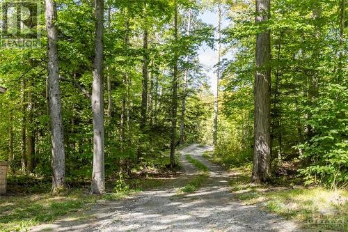 23925 Highway 7 Road, Sharbot Lake, ON - Outdoor With View