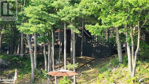 Cottage is Tucked under The Canopy of Trees - 21 Severn River Sr406 Shores S, Muskoka Lakes Twp, ON - Outdoor