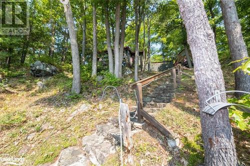 21 Severn River Sr406 Shores S, Muskoka Lakes Twp, ON - Outdoor